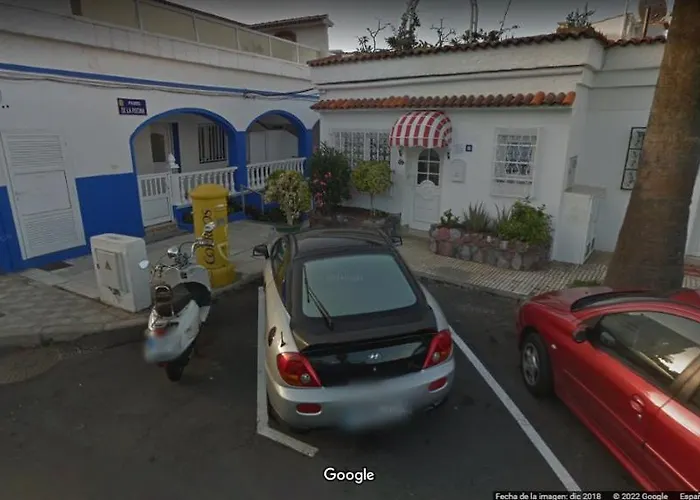 Palmeras לוס ריאלחוס