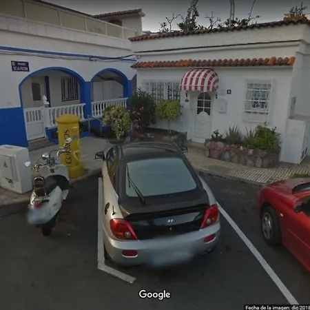 Palmeras Los Realejos