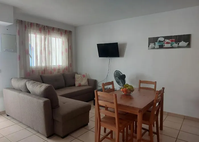 Palmeras Los Realejos